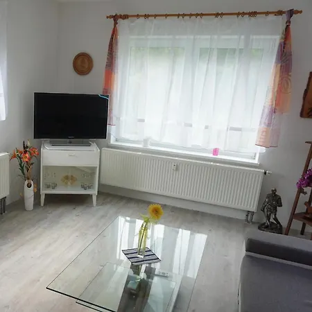 Am Sachsenstein - Zum Skispringer *